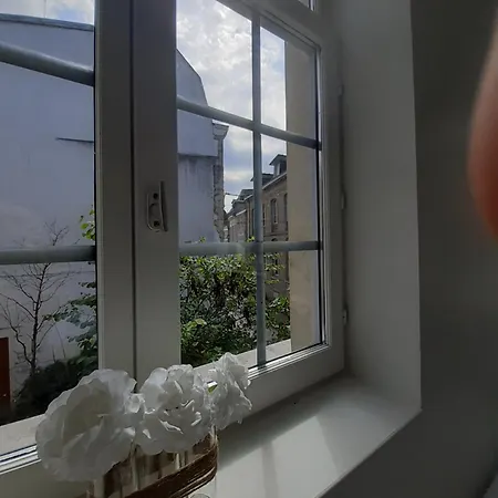 Spacieux Et Cosy Duplex Centre Historique - 2 - Transport Facile *